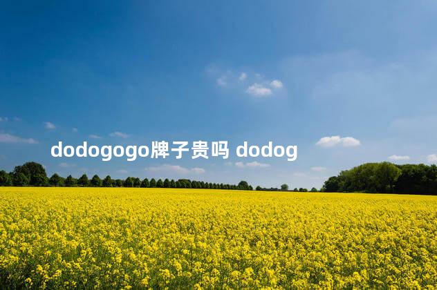 dodogogo牌子贵吗 dodogogo是纯银吗